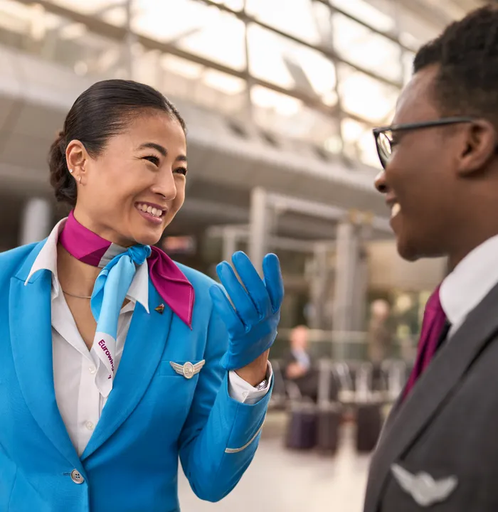 Image for Flight Attendant
